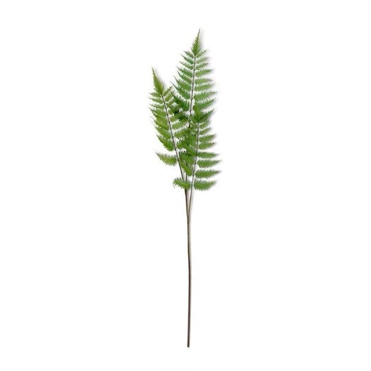 3-branch-fern-35-1