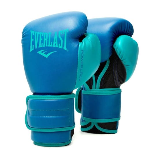 everlast-powerlock2-training-glove-1