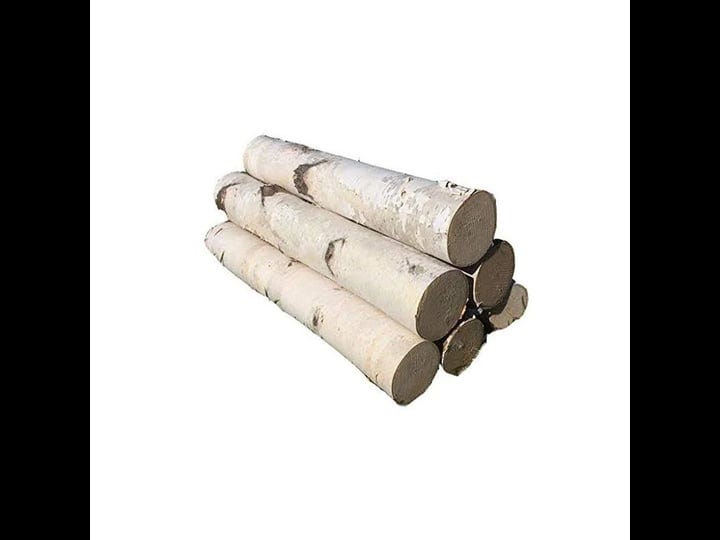 northern-boughs-white-birch-log-set-for-fireplace-1