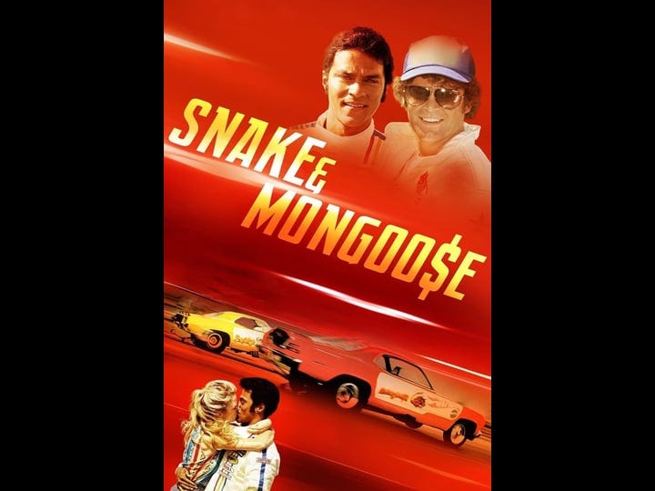 snake-mongoose-tt1718898-1