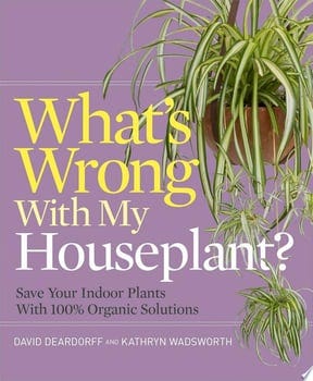 whats-wrong-with-my-houseplant-43401-1