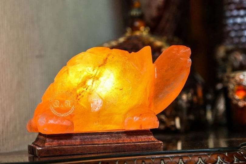 himalayan-salt-turtle-lamp-size-small-1