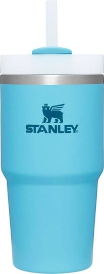 stanley-20-oz-quencher-h2-0-flowstate-tumbler-pool-1