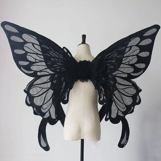 black-white-large-size-gorgeous-butterfly-wings-1