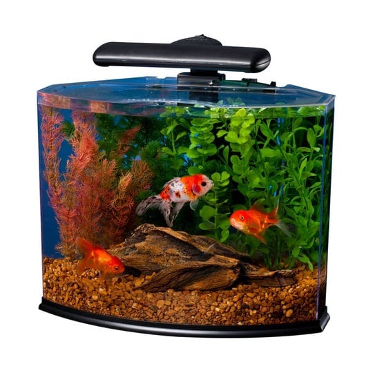 tetra-5-gallon-crescent-aquarium-1
