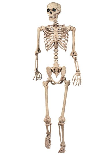 seasons-pose-n-stay-skeleton-1