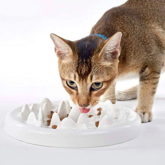 dotpet-slow-feeder-bowl-ceramic-fun-interactive-feeder-bloat-stop-cat-bowl-1