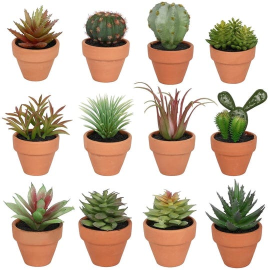 assorted-micro-succulent-in-terra-cotta-pot-by-ashland-1pc-3-michaels-1