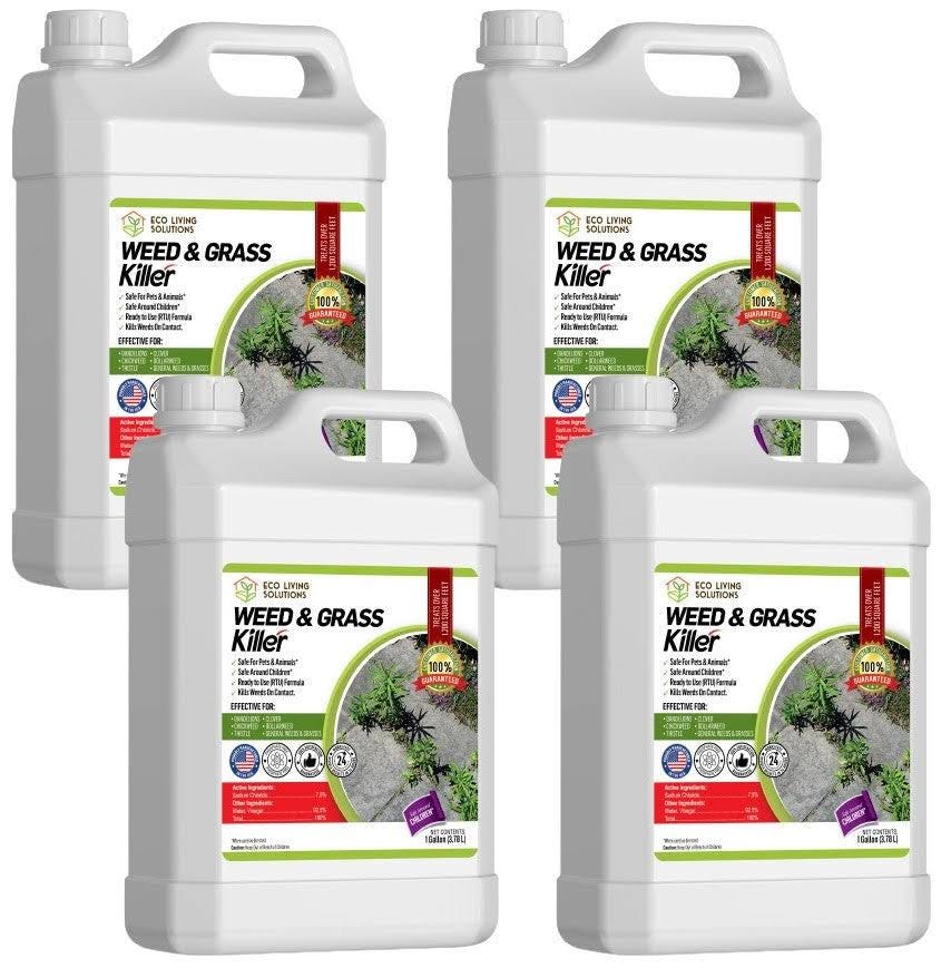 Eco-Friendly Pet Safe Weed Killer for Your Garden | Image