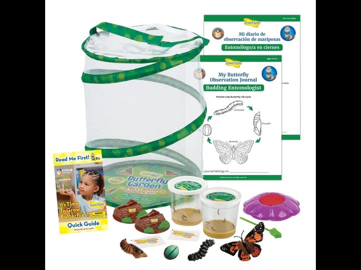 insect-lore-butterfly-garden-with-two-live-cups-of-caterpillars-plus-butterfly-life-cycle-stages-inc-1