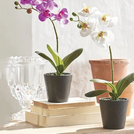 antique-farmhouse-real-touch-faux-orchid-in-pot-1