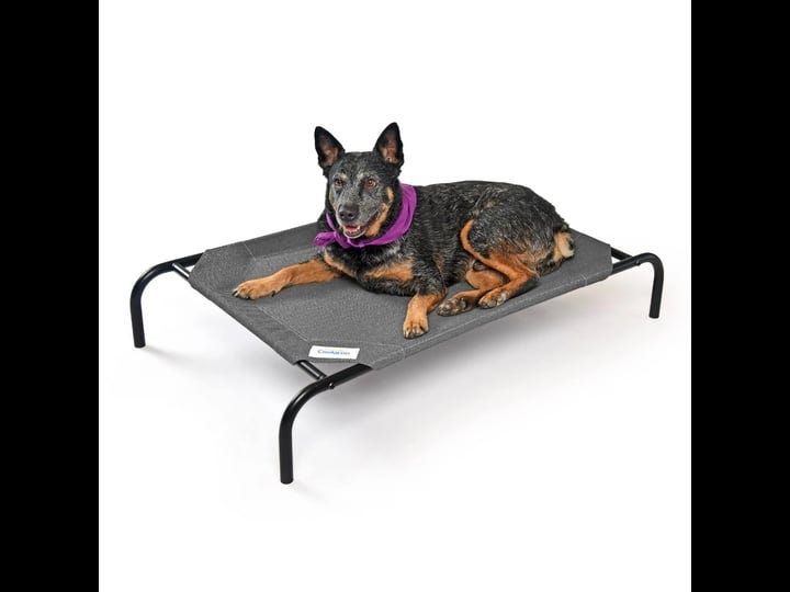 coolaroo-the-original-elevated-pet-bed-medium-gunmetal-1