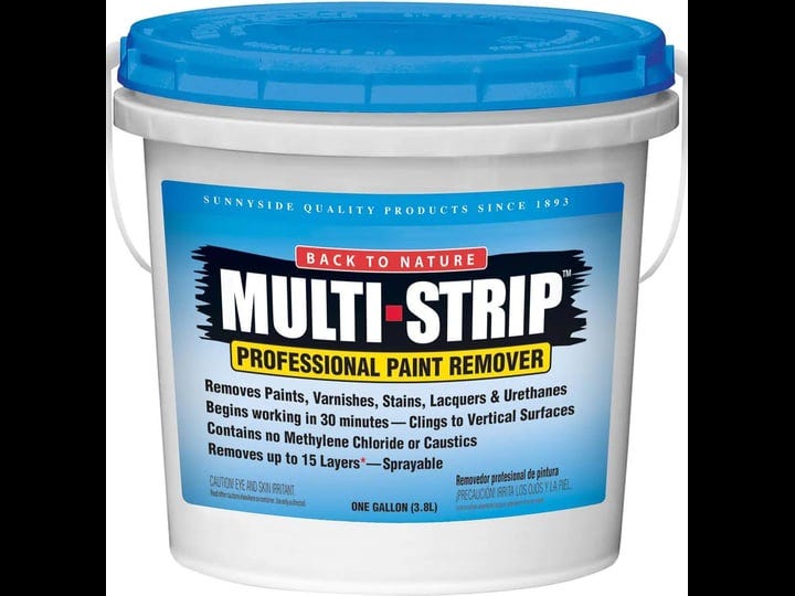 multi-strip-advanced-professional-paint-remover-1-gallon-1