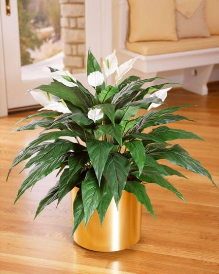 petals-spathiphyllum-silk-floor-plant-with-liner-handcrafted-amazingly-lifelike-1