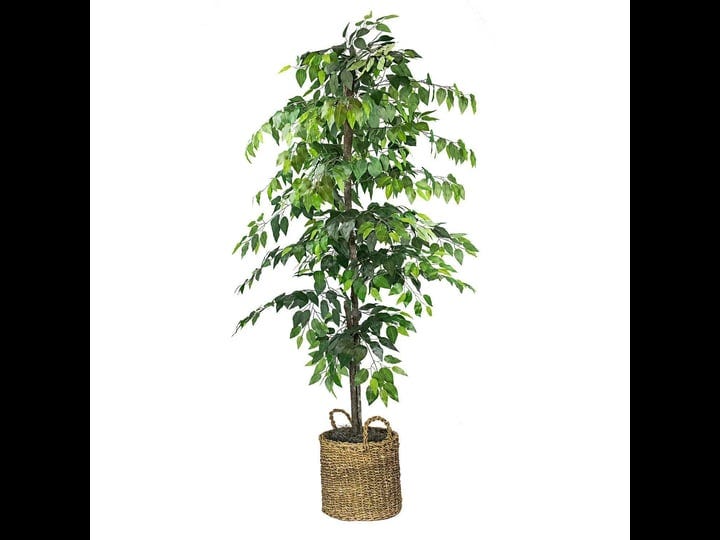 artificial-6-foot-ficus-tree-in-basket-1