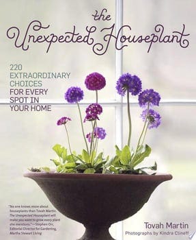 the-unexpected-houseplant-43402-1