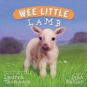 wee-little-lamb-1704649-1