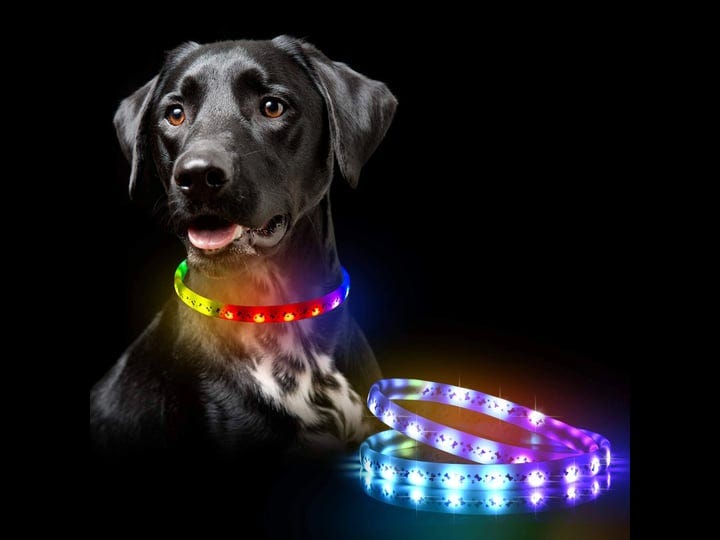 led-dog-collar-color-changeable-light-up-dog-collars-waterproof-with-usb-rechargeable15-display-mode-1