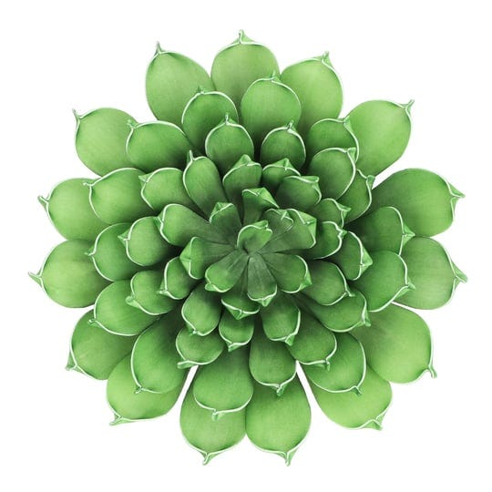 green-decorative-succulent-by-ashland-12-michaels-1