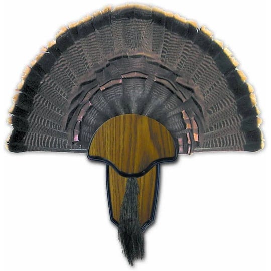 hunters-specialties-turkey-mount-kit-tail-beard-1