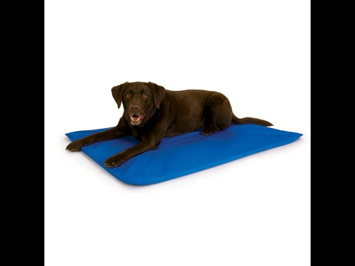 k-h-pet-products-cool-bed-iii-blue-large-1
