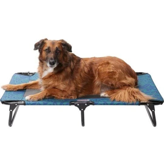 coleman-large-folding-cot-for-pets-up-to-75-lbs-red-1