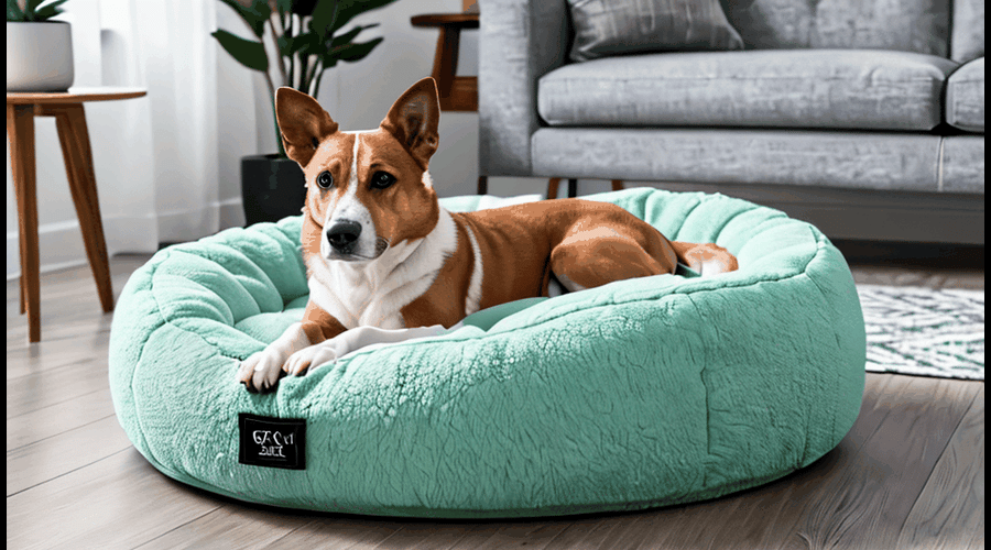 Cool-Dog-Beds-1