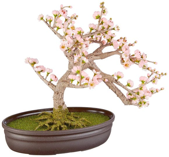 cherry-blossom-bonsai-silk-tree-nearly-natural-1