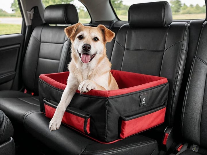 Console-Dog-Car-Seat-4