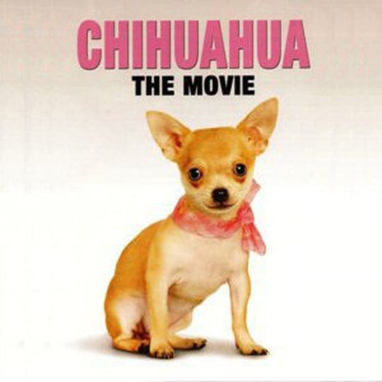 chihuahua-the-movie-4701393-1