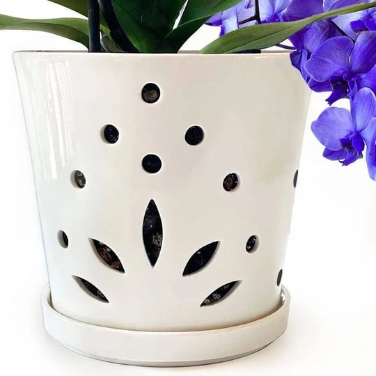 atri-ceramic-orchid-pot-with-holes-6-5-indoor-orchid-planter-with-drainage-holes-and-saucer-for-repo-1