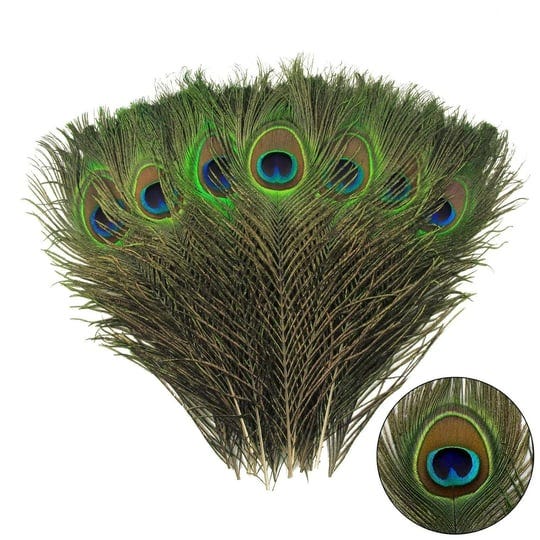 24pcs-peacock-feather-natural-in-bulk-10-12-inch-25-30cm-for-vase-craft-vase-wed-1