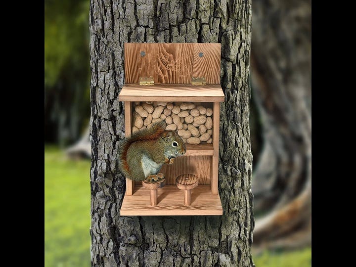 mont-pleasant-wooden-squirrel-feeder-nut-bar-squirrel-bench-feederhanging-squirrel-feeding-station-c-1