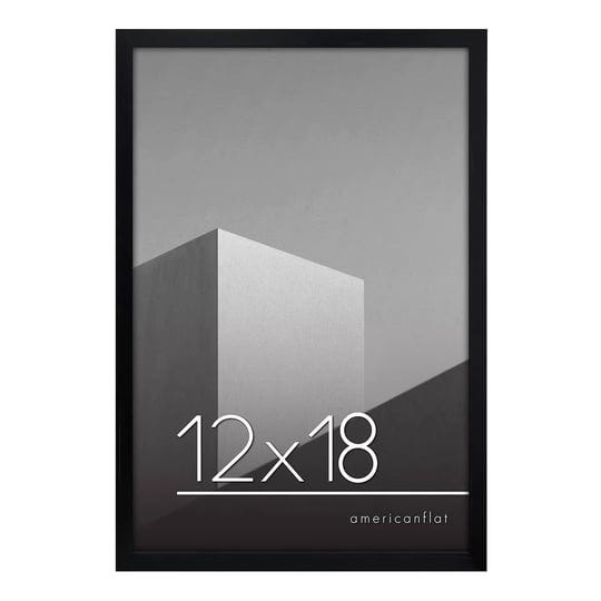 americanflat-12x18-poster-frame-in-black-with-polished-plexiglass-thin-border-12-x-18-inch-large-pic-1