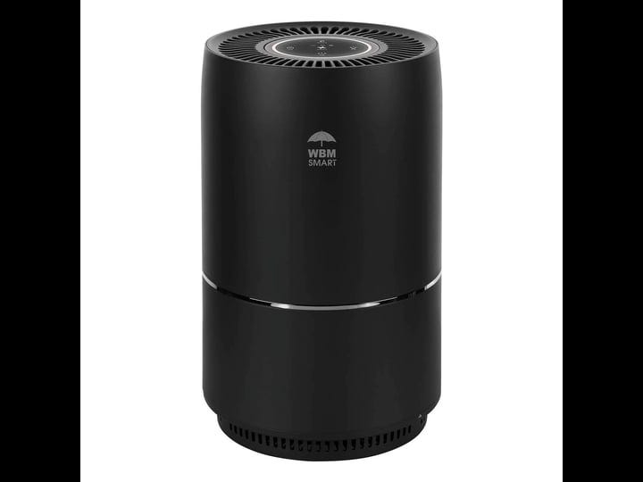 wbm-smart-hepa-filter-air-purifier-for-allergies-and-pets-dust-mold-and-pollen-smoke-and-odor-elimin-1