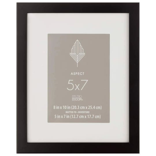 studio-decor-5-black-aspect-frame-with-mat-1