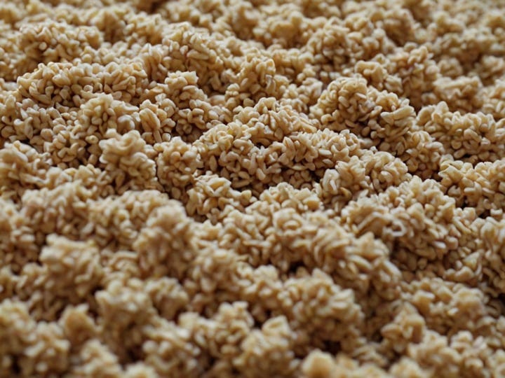 Kitty-Litter-5