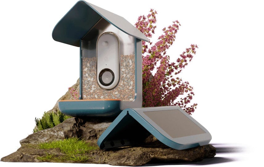 bird-buddy-original-smart-bird-feeder-with-camera-solar-powered-high-1