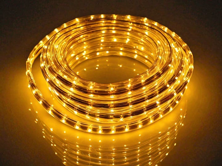 Waterproof-LED-Rope-Lights-6