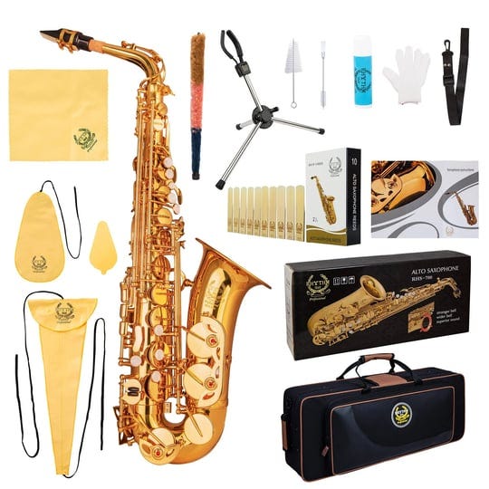 rhythm-eb-alto-saxophone-withcarryingsaxcasefull-set-cleaningandcarekitsaxfoldable-standboxofreedsmo-1