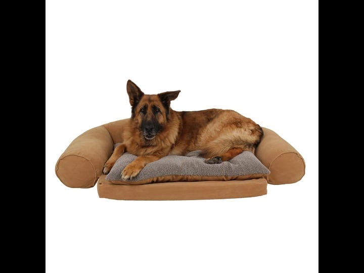carolina-pet-company-medium-ortho-sleeper-comfort-couch-1