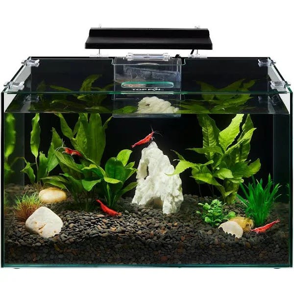 Shrimp & Plant Aquarium Starter Kit | Image