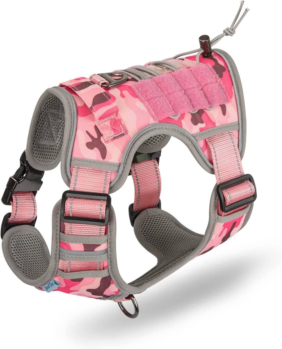 Adjustable Small Dog Harness for Training and Outdoor Activities | Image