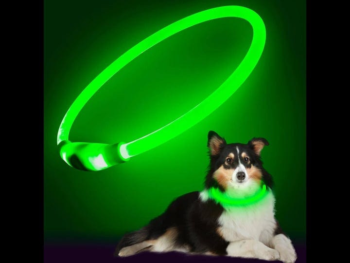 higuard-led-dog-collar-usb-rechargeable-glowing-pet-collars-lighted-up-safety-necklace-glow-in-the-d-1