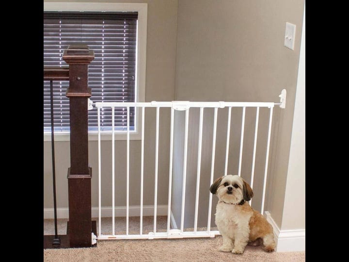 north-states-mypet-wide-clearpath-staircase-hallway-pet-gate-1