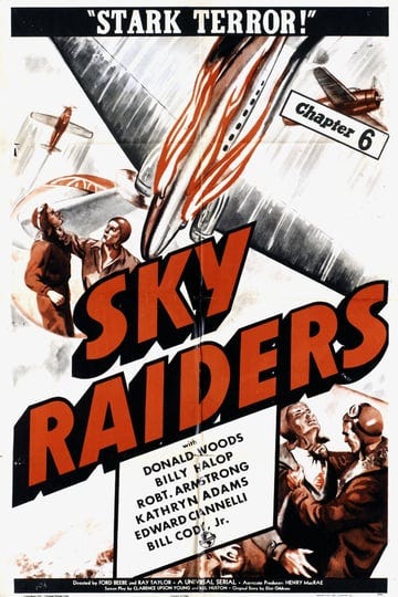 sky-raiders-753451-1