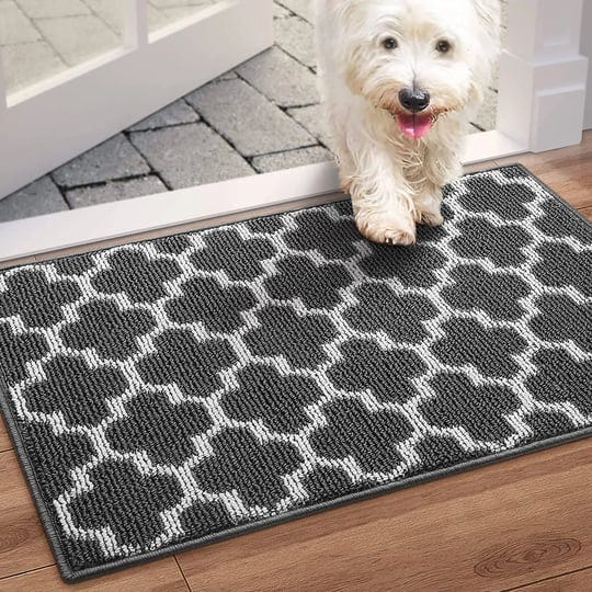 wiselife-door-mat-indoor-outdoor-floor-mat20-inchx32-inch-non-slip-absorbent-front-back-doormat-entr-1