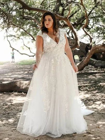 hebeos-2024-a-line-tulle-applique-long-v-neck-short-sleeves-plus-size-wedding-dress-1