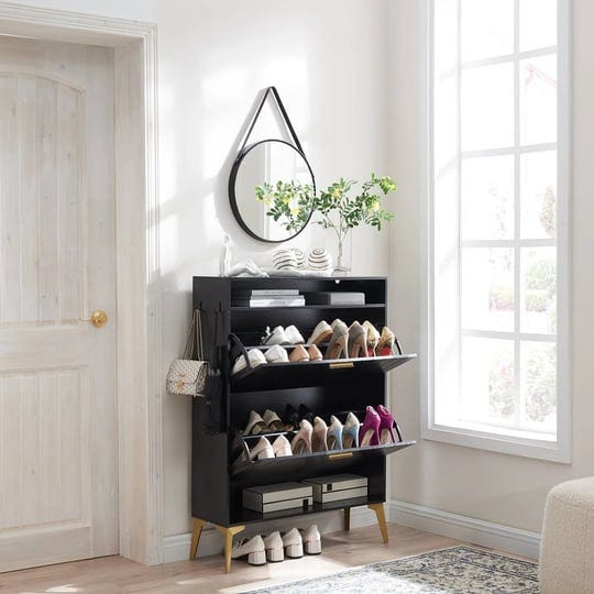 16-pair-shoe-storage-cabinet-george-oliver-finish-black-1