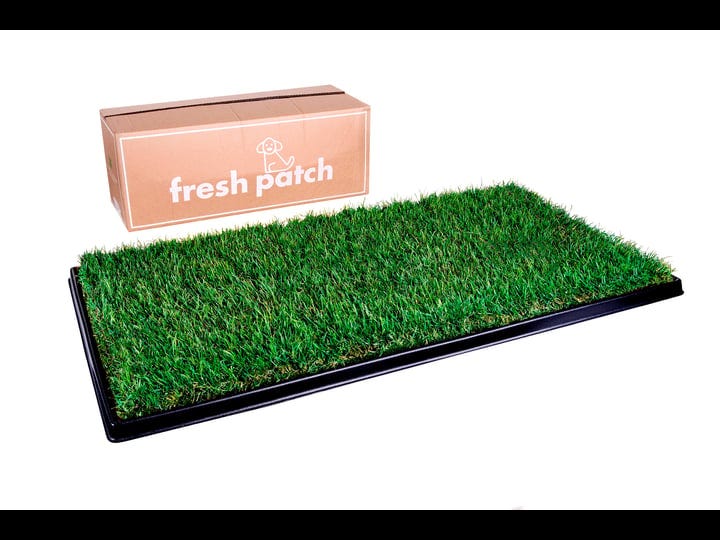 real-grass-patch-xl-grass-tray-indoor-dog-potty-pad-and-litter-box-save-when-you-bundle-fresh-patch-1